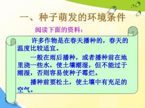 萌发拼音