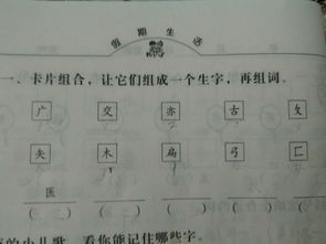 扁的部首是什么