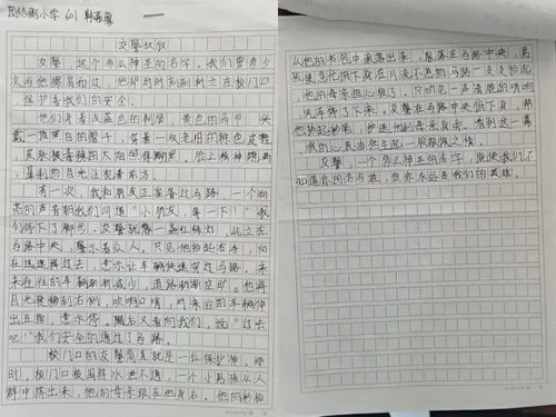 特殊的礼物优秀作文
