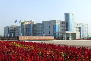 中国矿业大学银川学院官网，中国矿业大学银川学院和银川科技学院