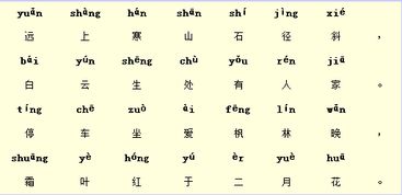 背拼音是什么?