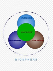 生物圈包括地球上所有生物及其生存环境，生物圈包括的范围