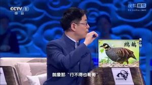 行不得也哥哥是什么鸟