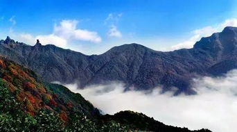 梵净山海拔多少米