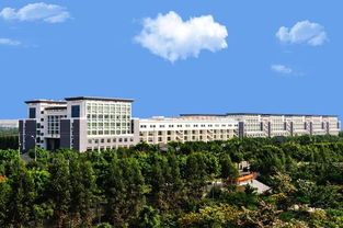 广西大学行健文理学院录取分数线