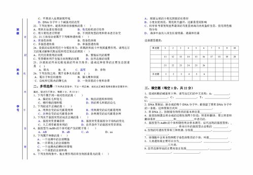 期中总结，期中考试心得感悟