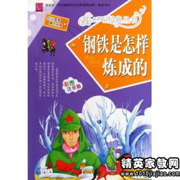 钢铁是怎样炼成的读后感通用10篇