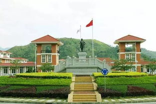 在中山大学南方学院读书是什么体验?