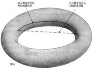 二十六维空间生物，二十六维空间的能力