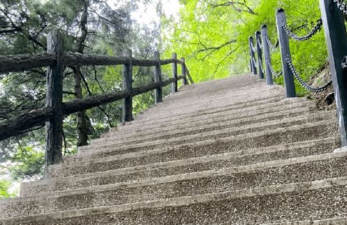 “秋风凉,菊花黄,又是一年落叶忙,空悲叹,心发慌”是什么意思?