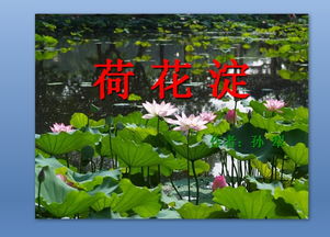 荷花淀课件ppt完美版，荷花淀课件ppt学科网