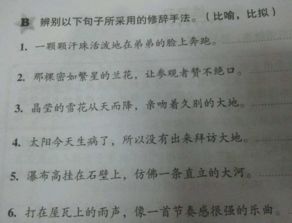 比拟句对亲情的赞美，比拟句特点