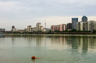 四川省绵阳市涪城区天气预报下载，四川省绵阳市涪城区天气江油