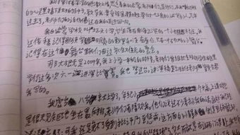 我的启蒙老师作文300字，我的启蒙老师作文300