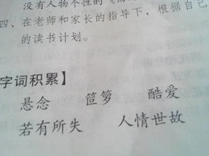 萝的拼音是几拼音节，萝卜的拼音