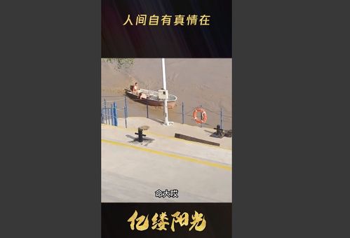 人间自有真情在下句是什么