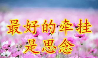 “我们永远是朋友”翻译成英文