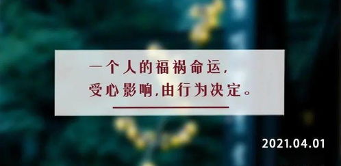 因果是什么意思?