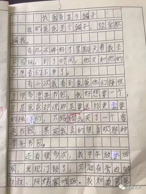 做实验的作文300字作文优质6篇