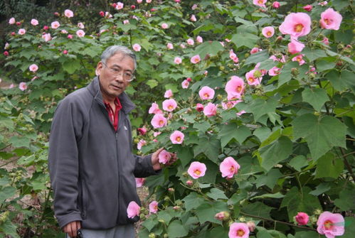 周小林与殷洁的鲜花山谷在哪，周晓林