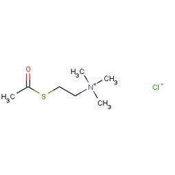 氯化乙酰胆碱国产，氯化乙酰胆碱的作用机制