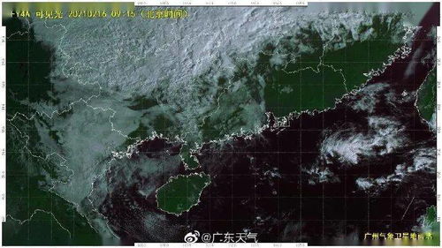 蕉岭天气预报15天天气，蕉岭天气1周的天气