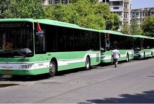 武汉公交车801路线查询，武汉公交601路线查询