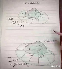 颠什么意思 在线