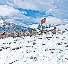 过雪山草地歌曲原唱，过雪山草地讲的是什么事件