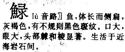 鱼字旁组成的字有些什么字