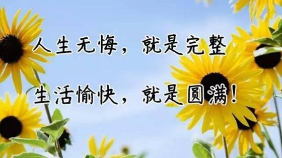 我们永远是朋友绘本，举起这杯酒我们永远是朋友