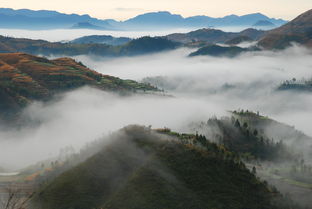 重峦叠嶂的拼音怎么读，重峦叠嶂 拼音