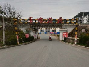 草市是哪个省的城市