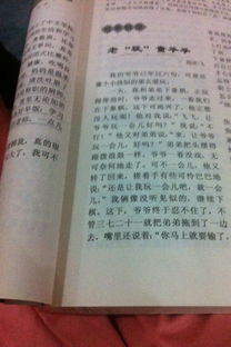 爷爷的菜园作文200字，爷爷的菜园作文450字