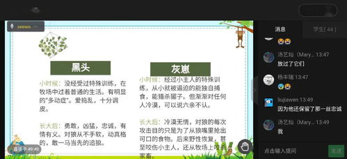 一次难忘的经历800字记事作文精选5篇范文