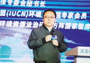 秦鹏演员，秦鹏飞导演