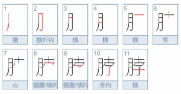 脖组词组词语有哪些呢，腿组词