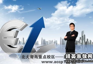 对未来工作有什么规划