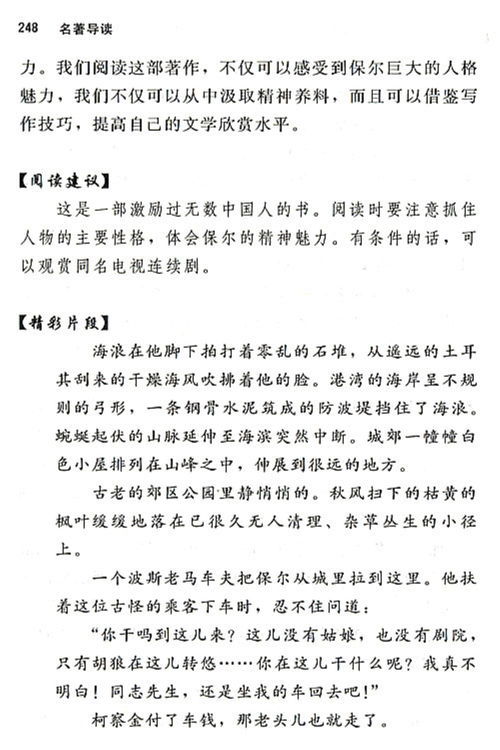 钢铁是怎样炼成的词语积累大全，钢铁是怎样炼成的词语二字