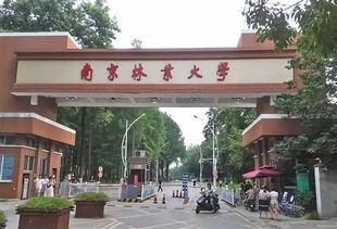 南京林业大学专业有哪些