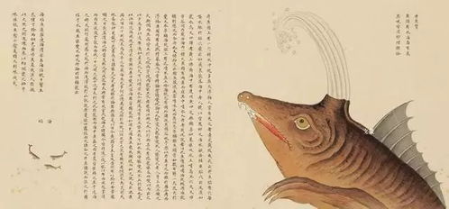 谁知道”腽肭”的读音?谢谢!