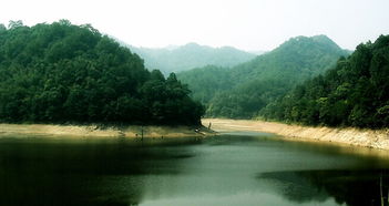 九江彭泽天气，彭泽天气预报15天查询结果