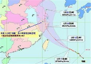 台风韦帕来袭，台风韦帕带来的灾害主要有