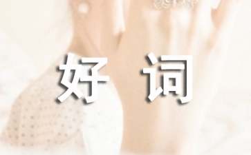《青铜葵花》好句好词