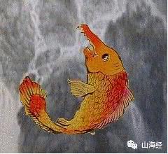 腽肭兽油，腽肭兽的睾丸