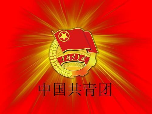 团员主要优秀事迹范文