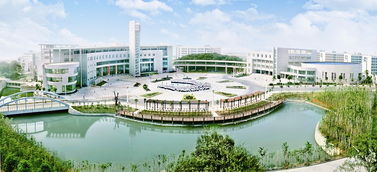 湖北财经大学是985还是211