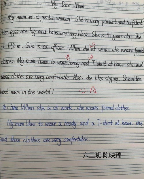 抄写作文200字，抄写作文500字