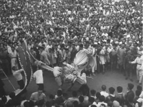 73年属什么的多大1973年属什么生肖的