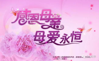 感恩母爱演讲稿100字，感恩母爱演讲稿500字